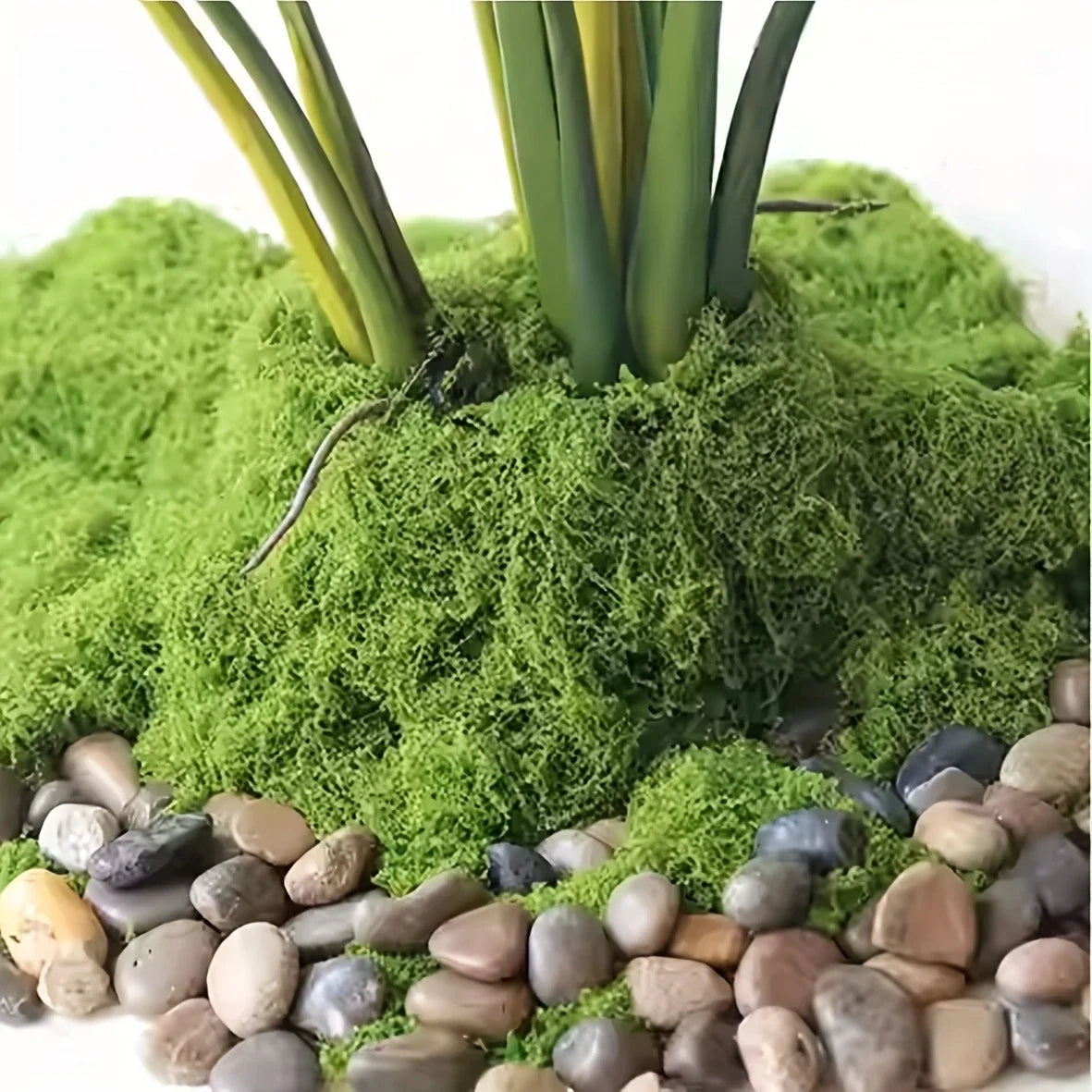 Crafts Grass Artificial Moss