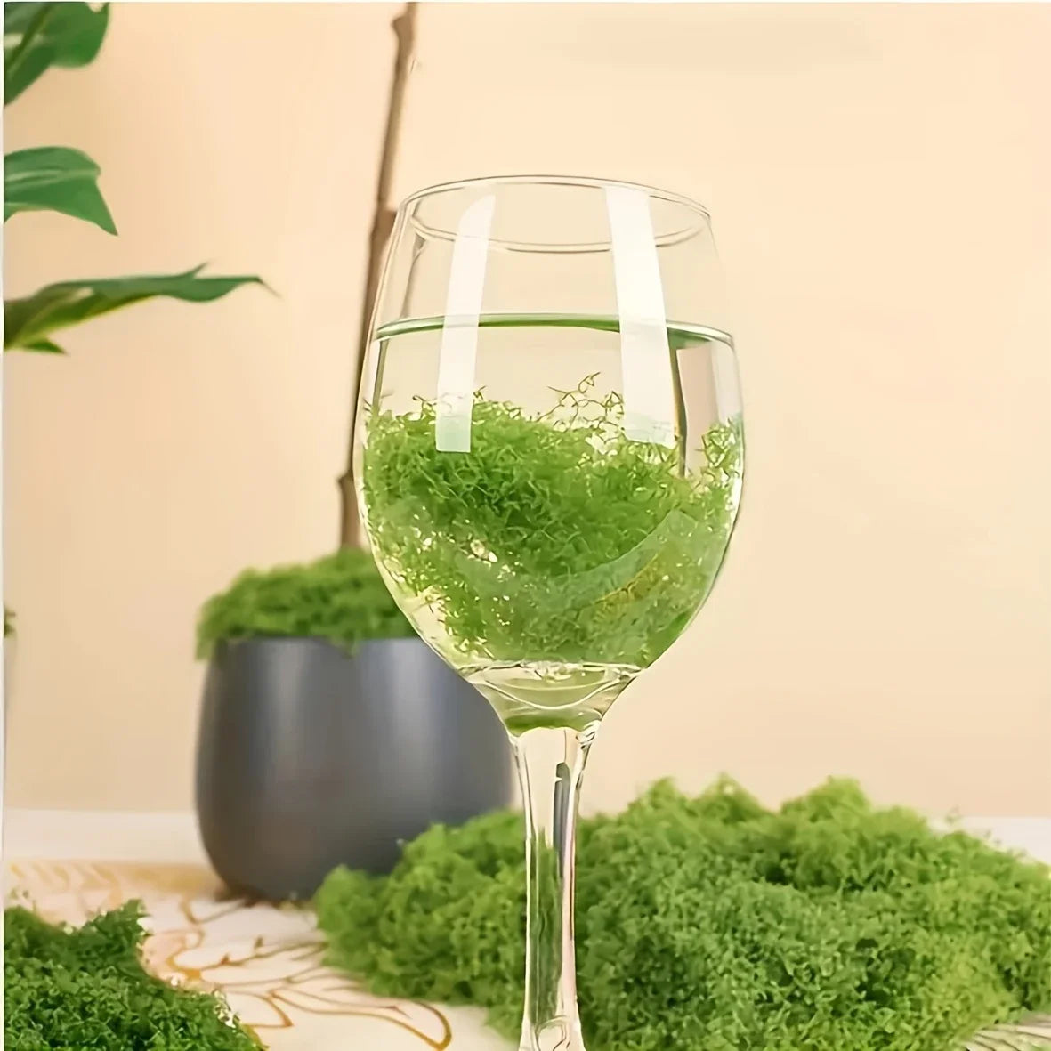 Crafts Grass Artificial Moss