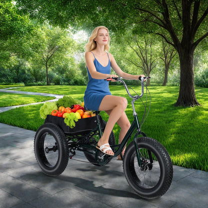 Non electric - (maximum weight capacity 450 pounds) 7-speed manual fat tire tricycle, 20 inch adult tricycle, snow tires